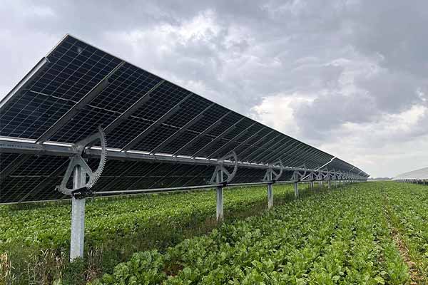 AGRI PV Anlage